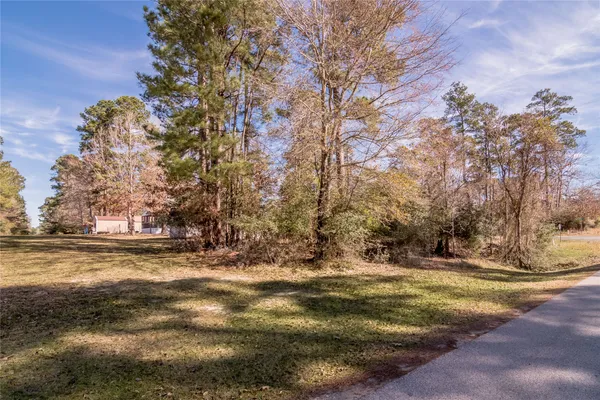 a view of yard with trees