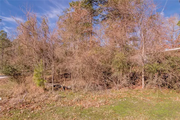 a view of backyard of house