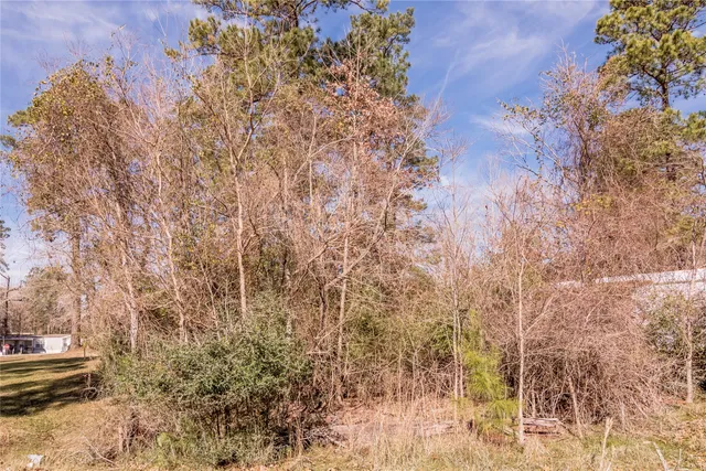 $15,000 | Lot 27 Dogwood Drive, Trinity, TX 75862