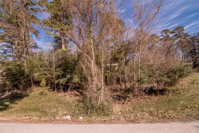 $15,000 | Lot 27 Dogwood Drive, Trinity, TX 75862