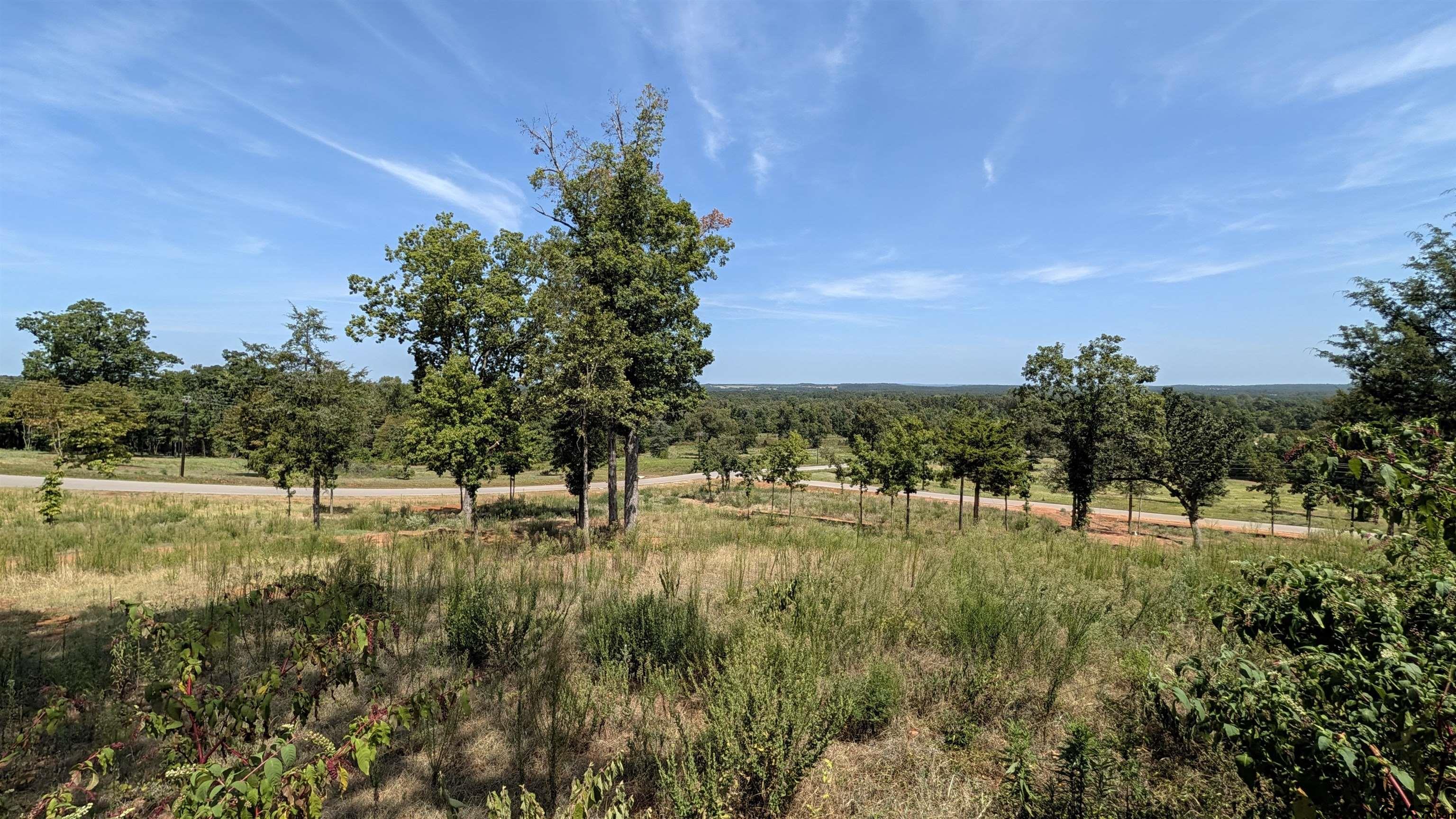 16416 Ridgeline Loop Winona, TX 75792 - Photo 9 of 15 Gallery Image 9