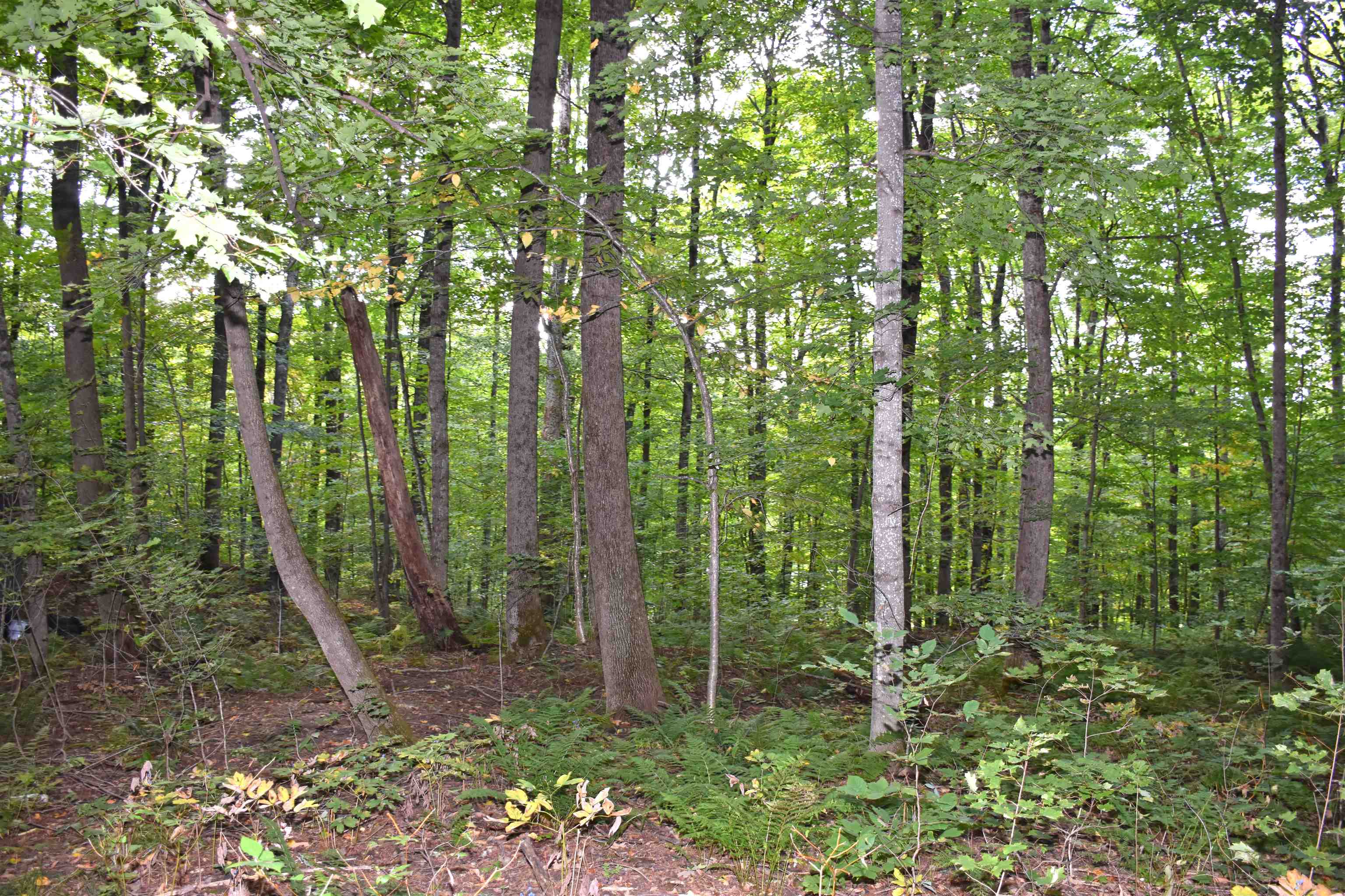 397 Winch Hill Extension Roxbury, VT 05663 - Photo 32 of 49 Gallery Image 32