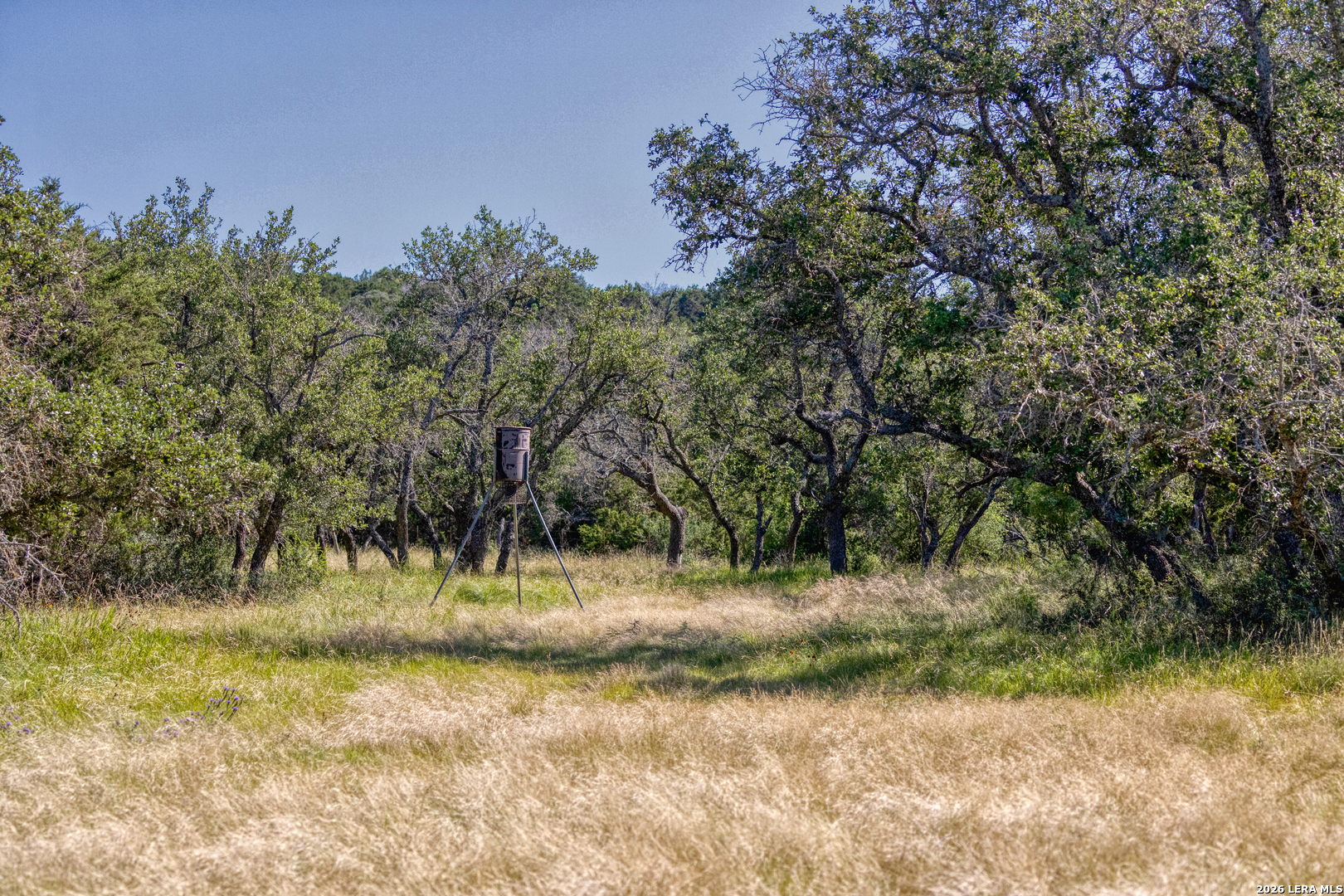 932 Wofford Road London, TX 76854 - Photo 21 of 50