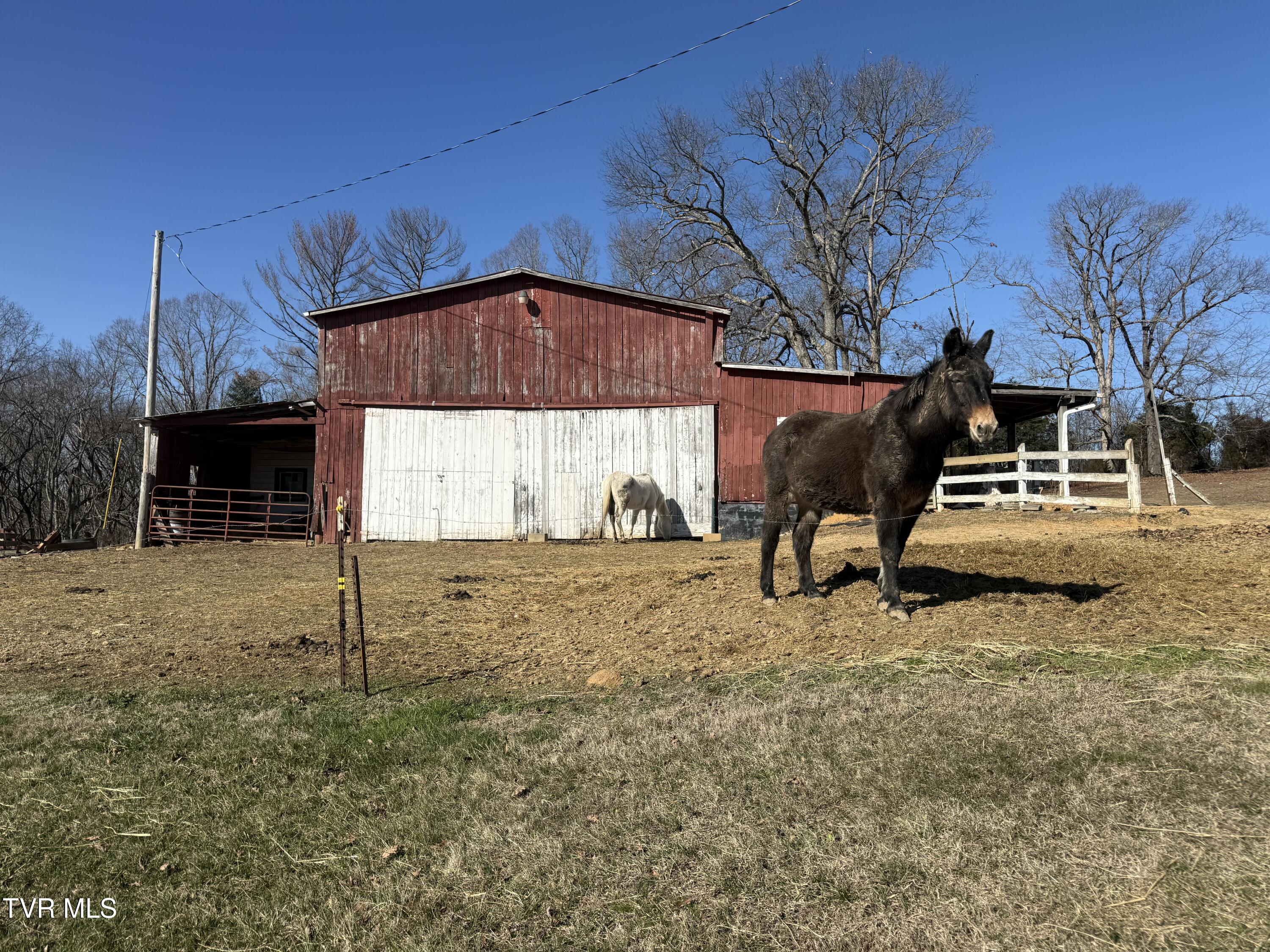 6181 Poplar Springs Road Greeneville, TN 37743 - Photo 54 of 97 054