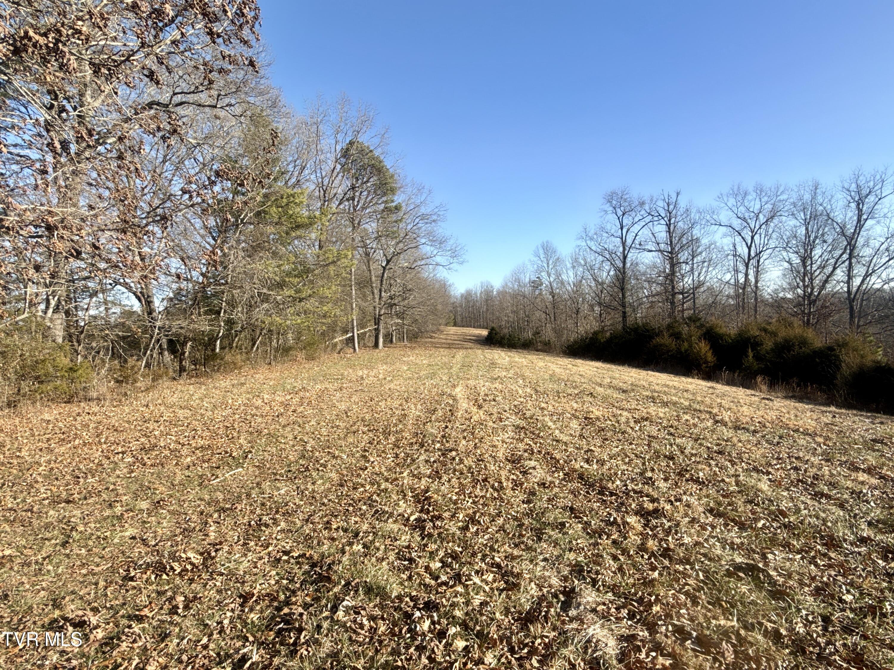 6181 Poplar Springs Road Greeneville, TN 37743 - Photo 62 of 97 062