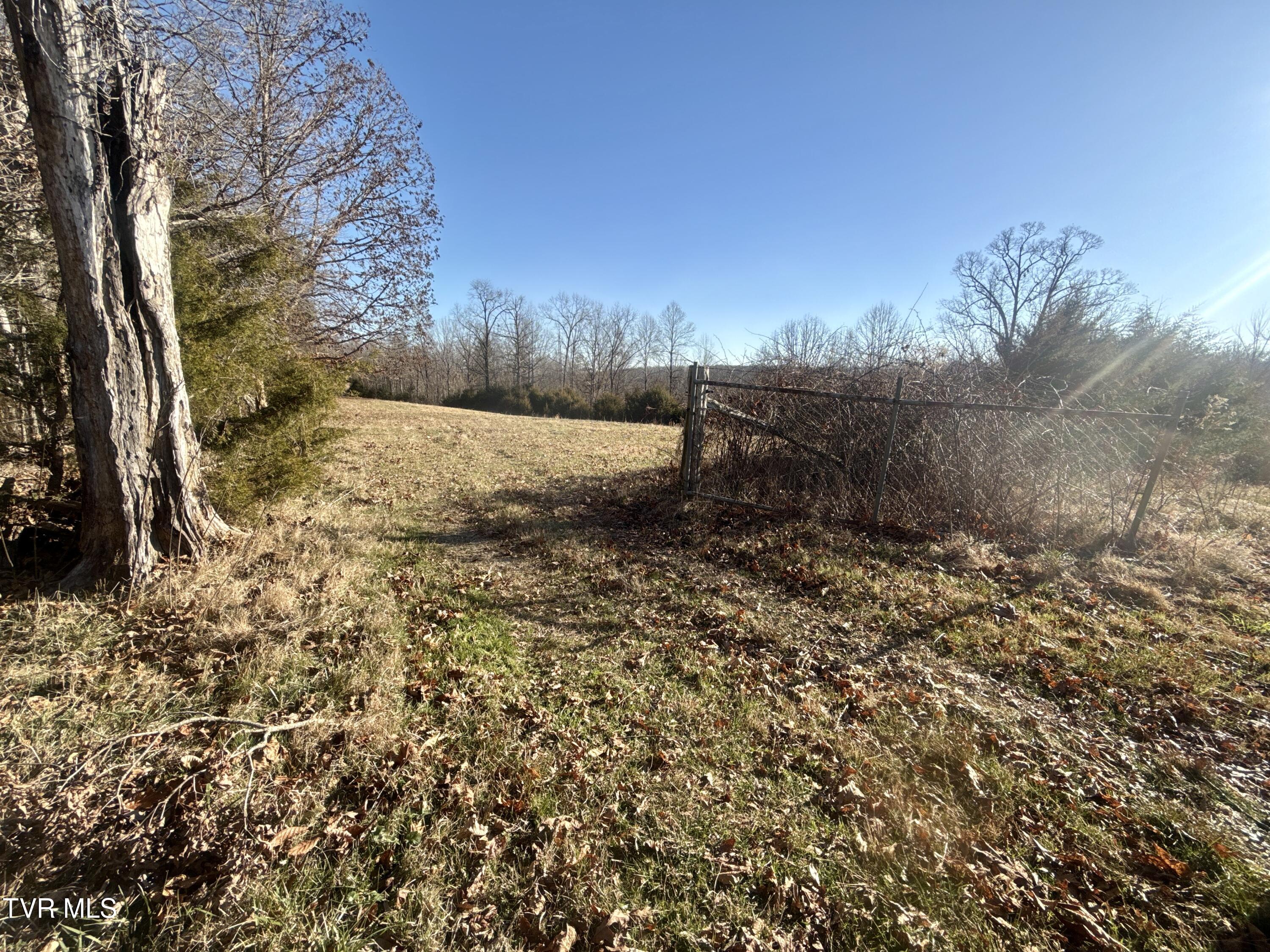 6181 Poplar Springs Road Greeneville, TN 37743 - Photo 64 of 97 064