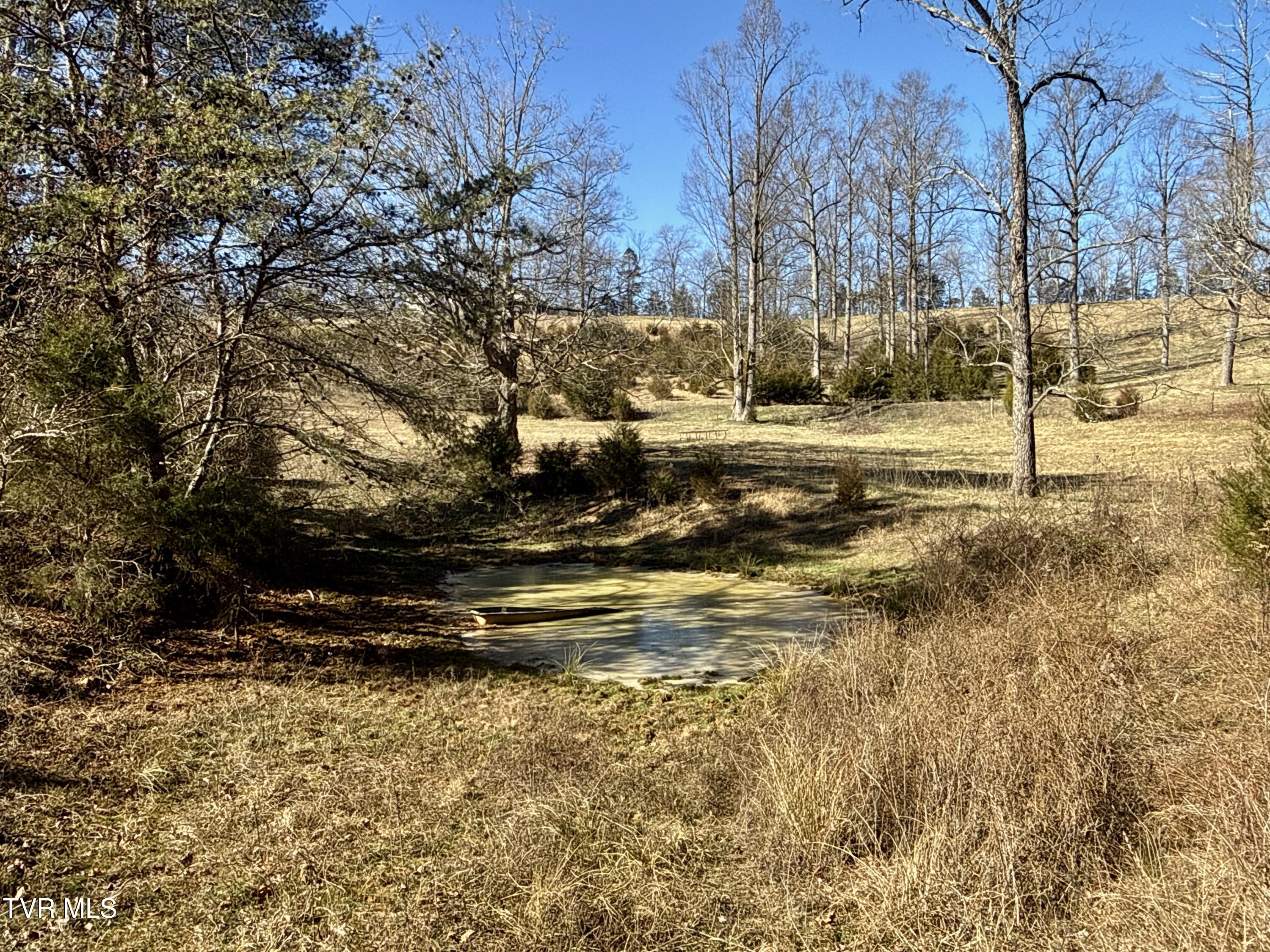 6181 Poplar Springs Road Greeneville, TN 37743 - Photo 66 of 97 066