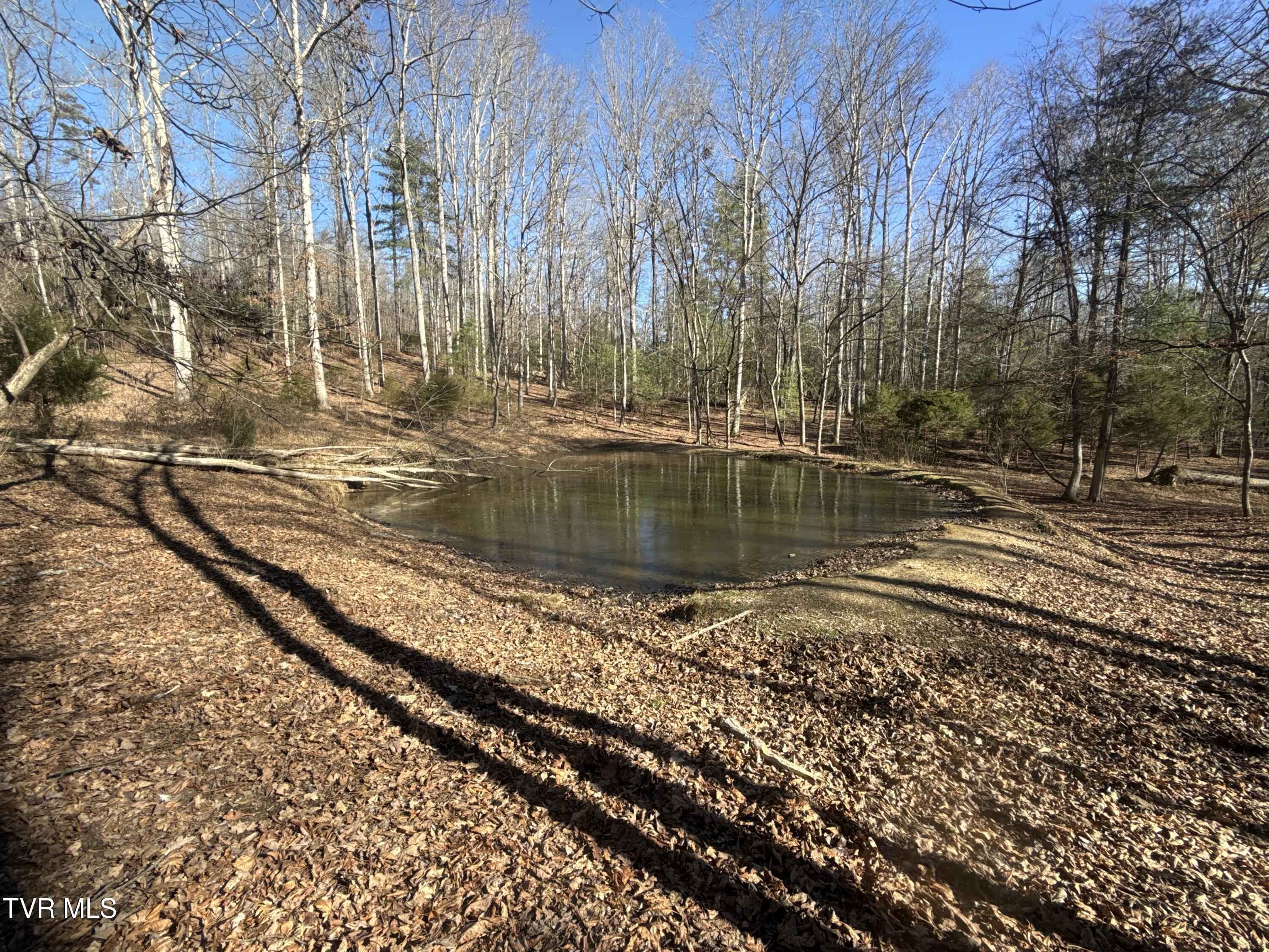 6181 Poplar Springs Road Greeneville, TN 37743 - Photo 67 of 97 067