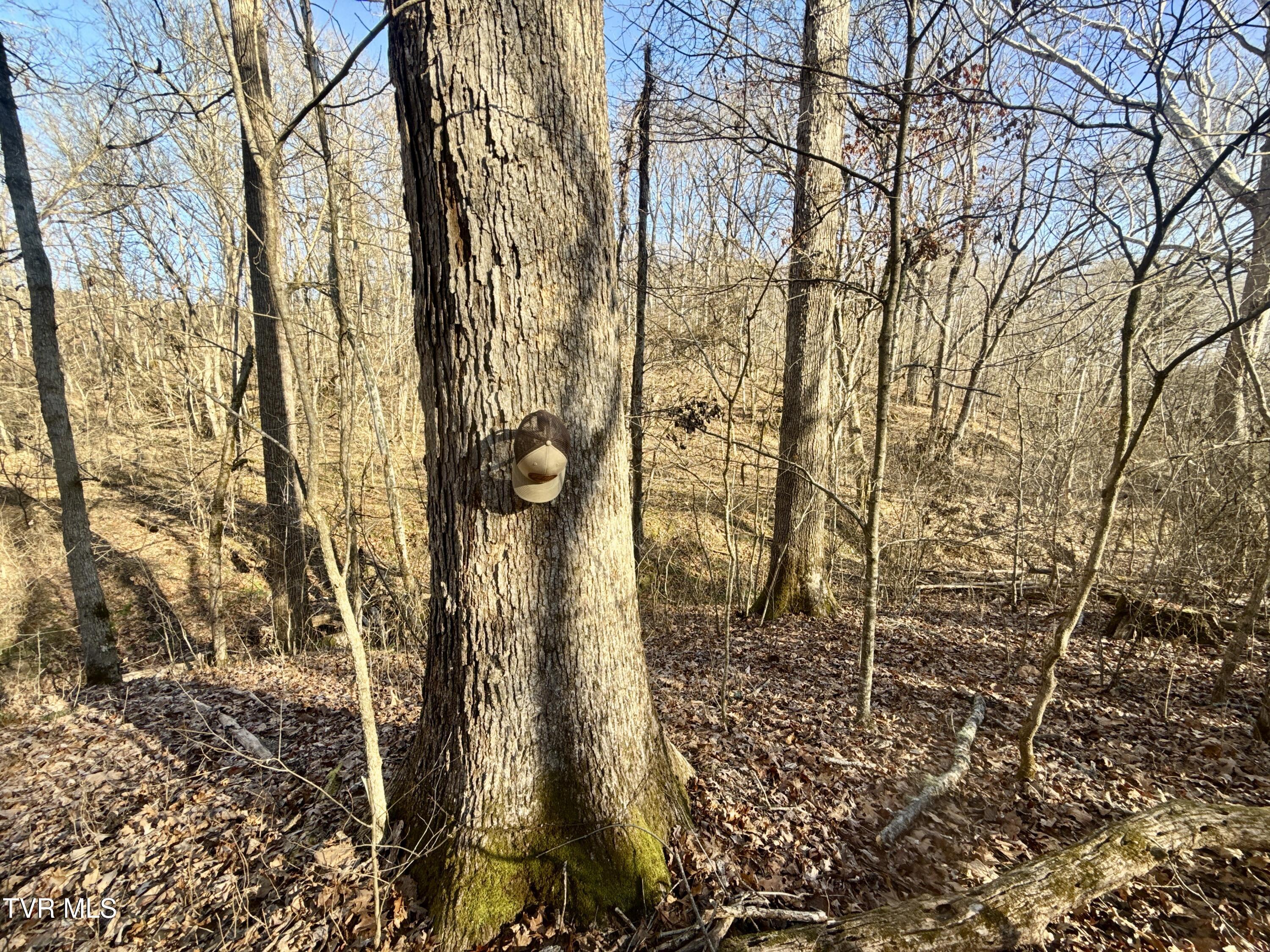 6181 Poplar Springs Road Greeneville, TN 37743 - Photo 68 of 97 069