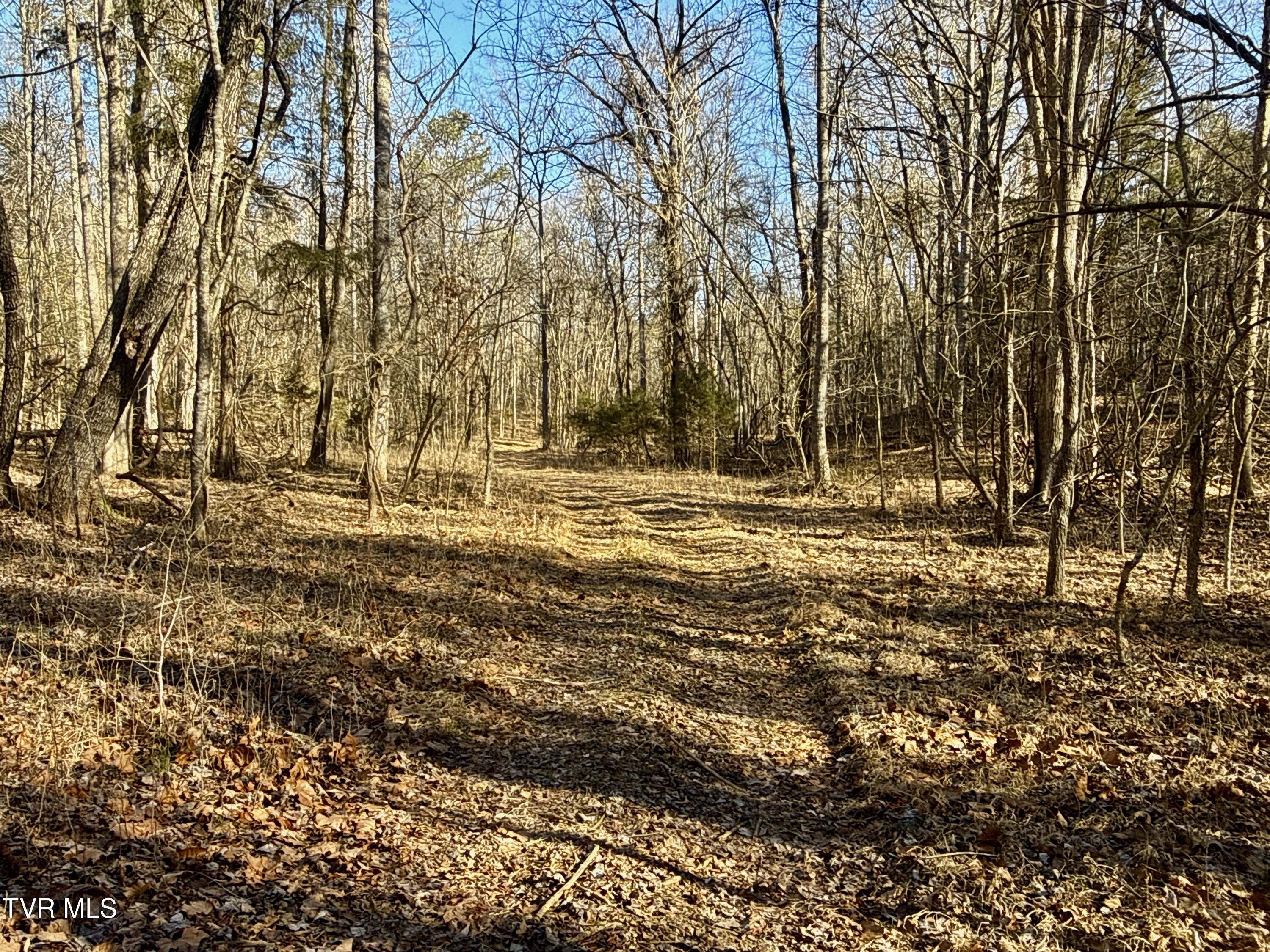 6181 Poplar Springs Road Greeneville, TN 37743 - Photo 69 of 97 070