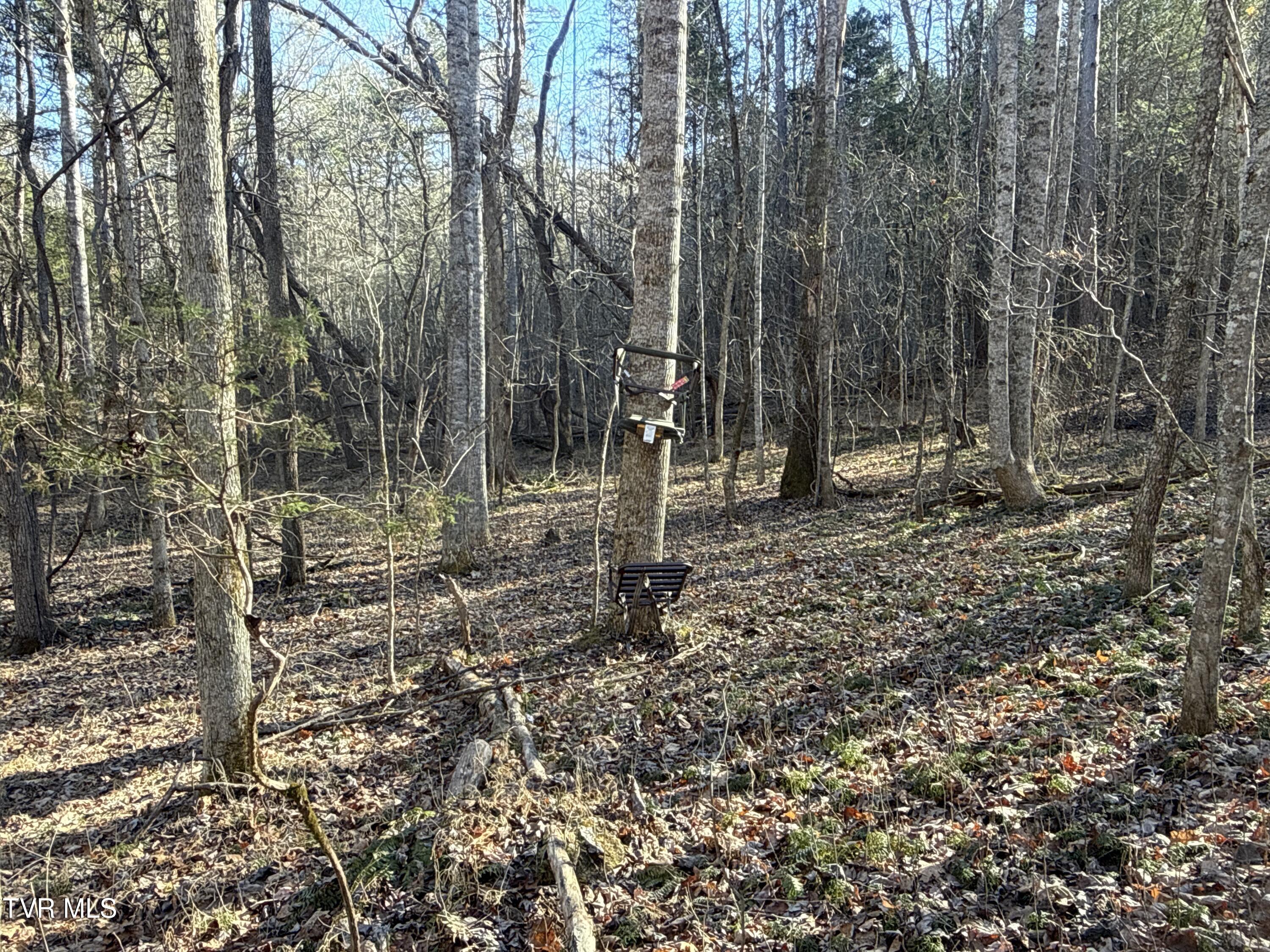 6181 Poplar Springs Road Greeneville, TN 37743 - Photo 70 of 97 071