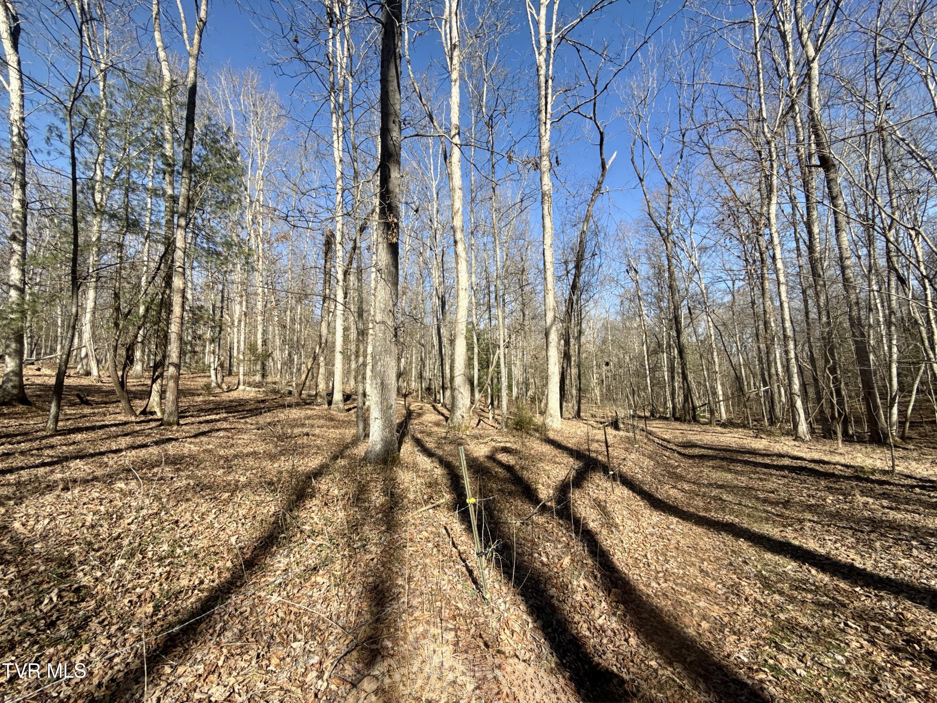 6181 Poplar Springs Road Greeneville, TN 37743 - Photo 71 of 97 072