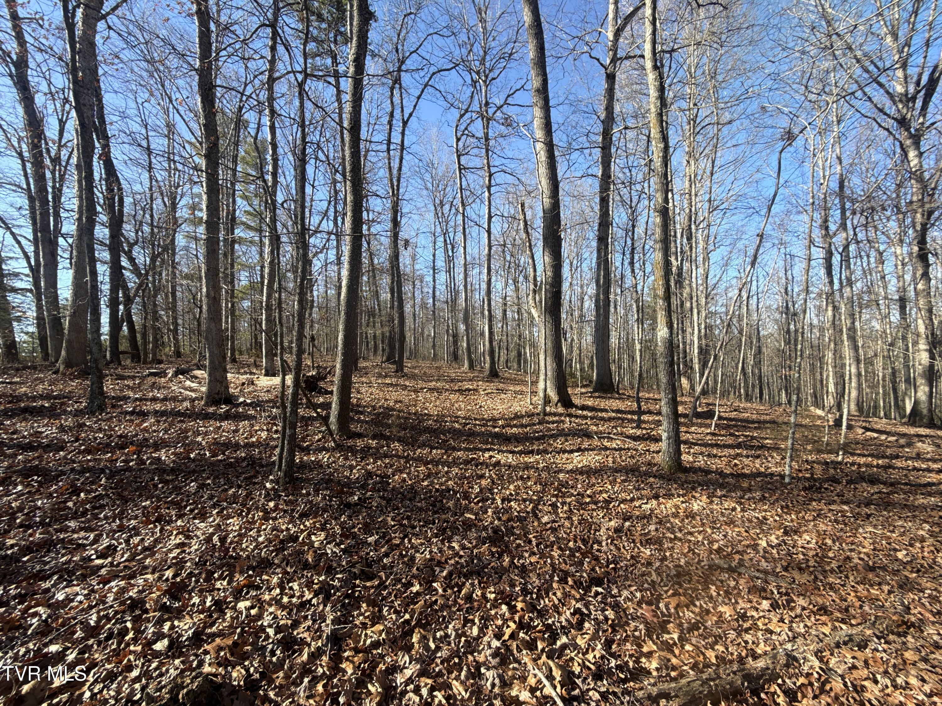 6181 Poplar Springs Road Greeneville, TN 37743 - Photo 72 of 97 074