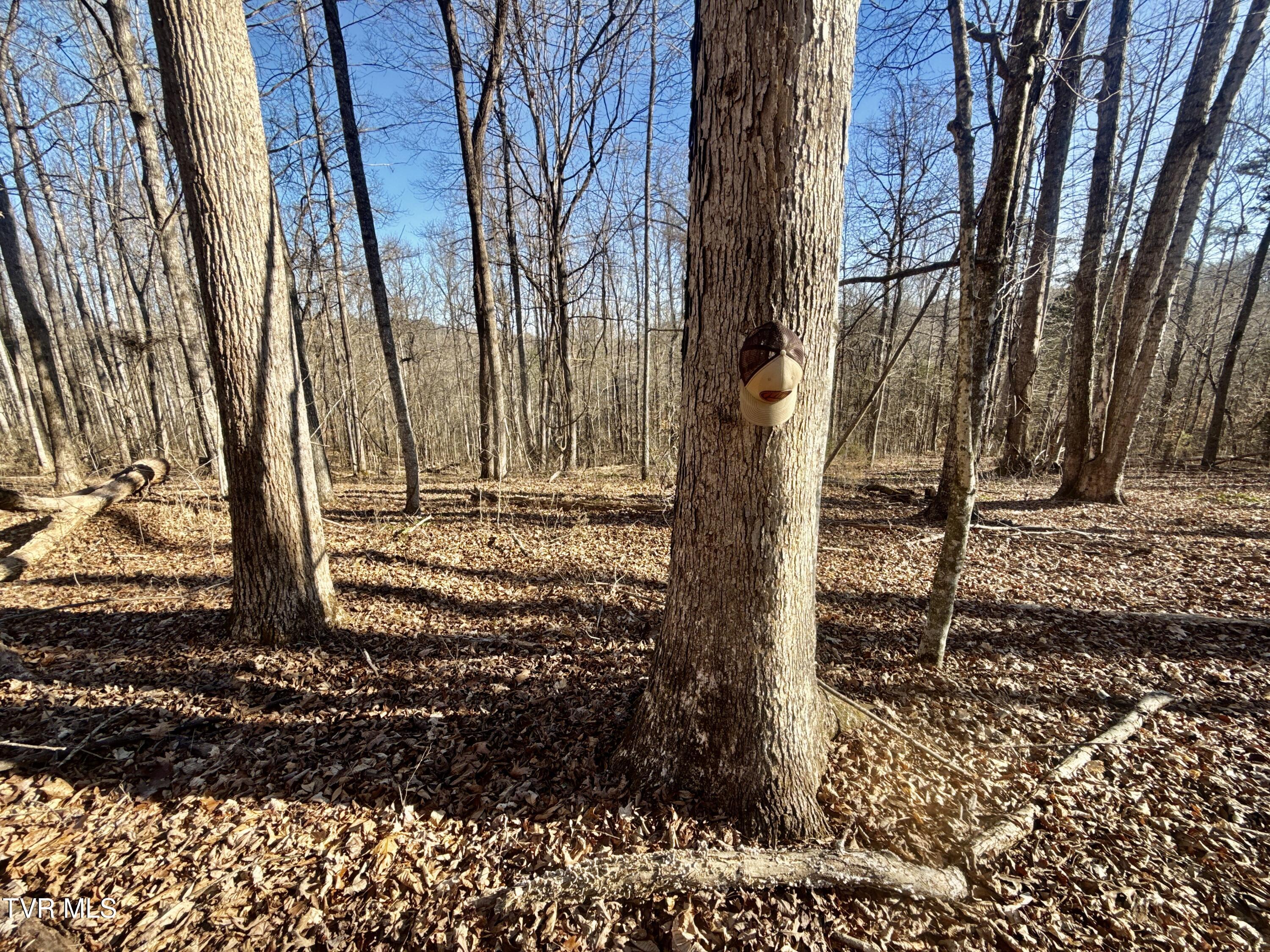 6181 Poplar Springs Road Greeneville, TN 37743 - Photo 73 of 97 075