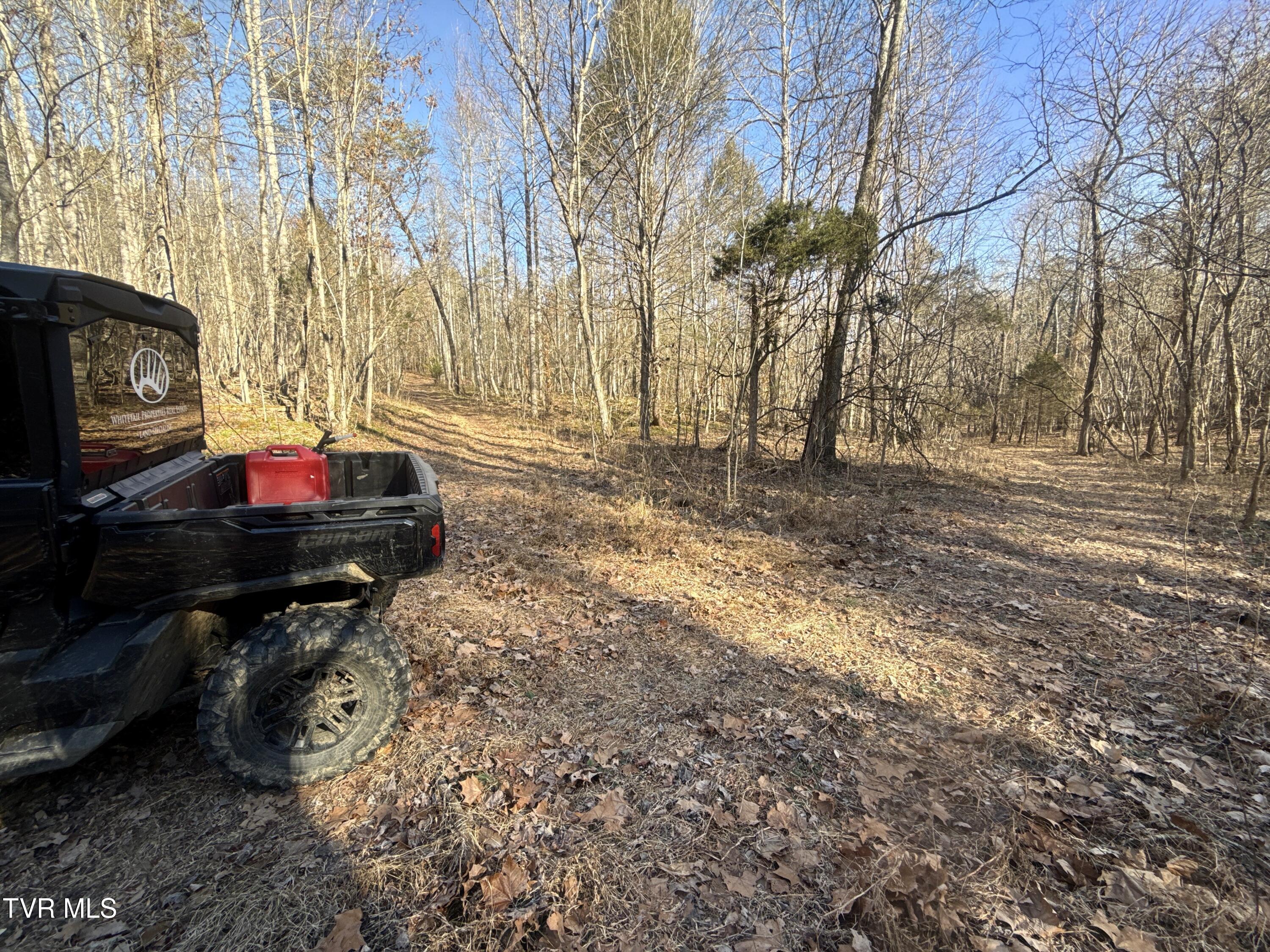 6181 Poplar Springs Road Greeneville, TN 37743 - Photo 74 of 97 076