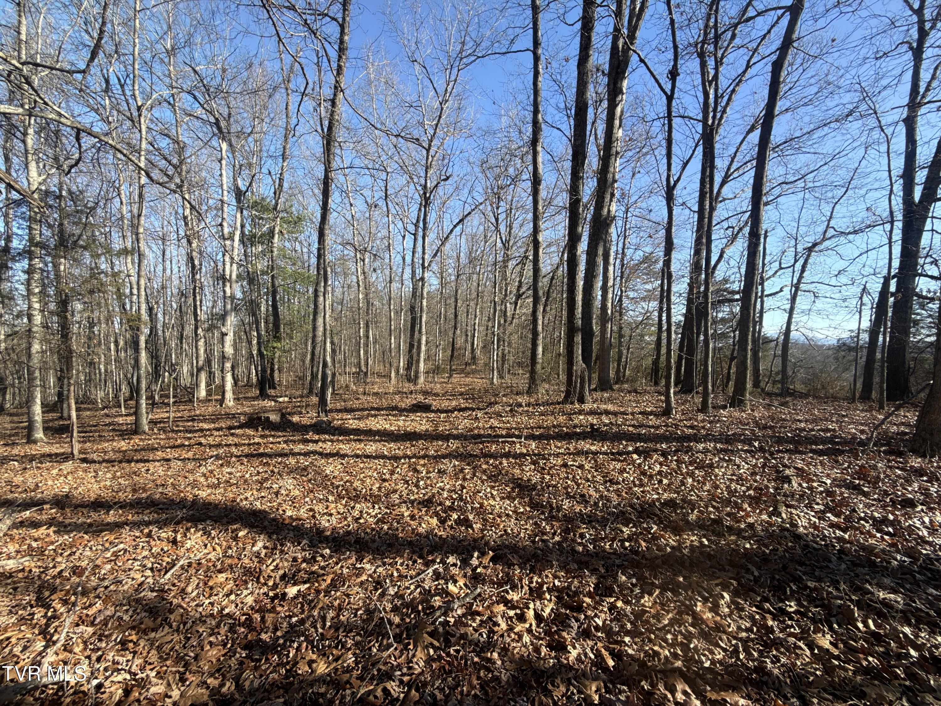 6181 Poplar Springs Road Greeneville, TN 37743 - Photo 75 of 97 077