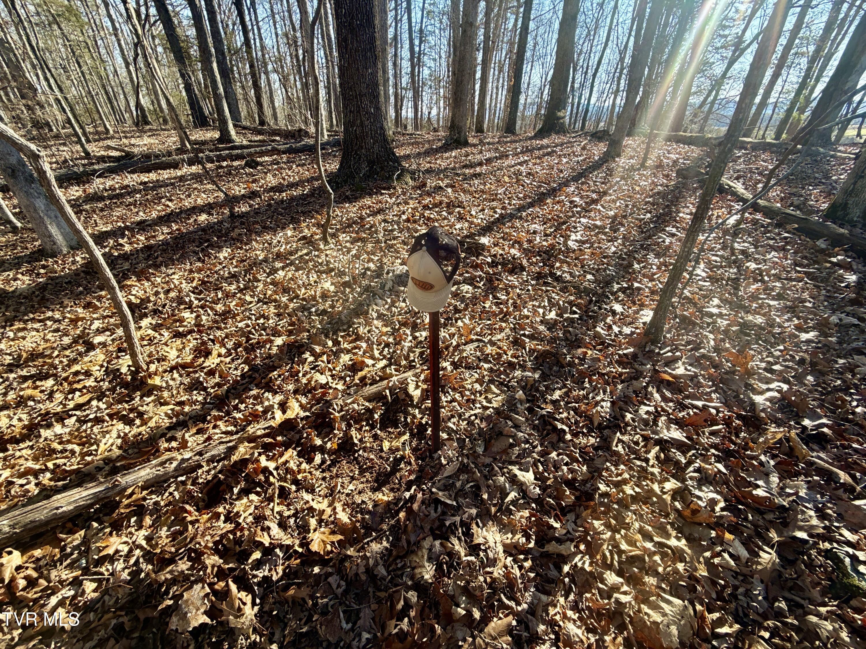 6181 Poplar Springs Road Greeneville, TN 37743 - Photo 76 of 97 079