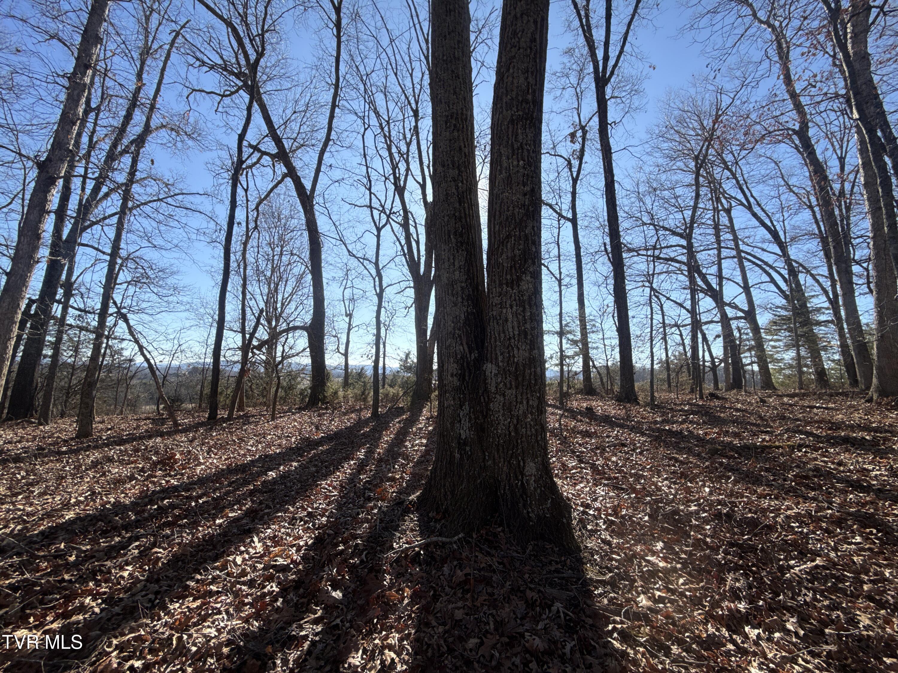 6181 Poplar Springs Road Greeneville, TN 37743 - Photo 77 of 97 080