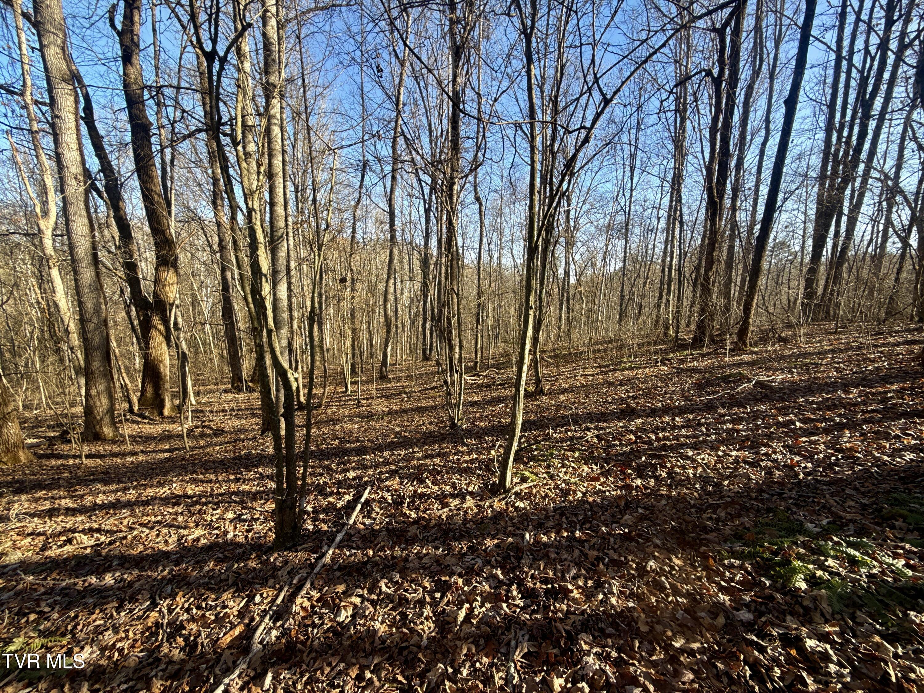 6181 Poplar Springs Road Greeneville, TN 37743 - Photo 78 of 97 081