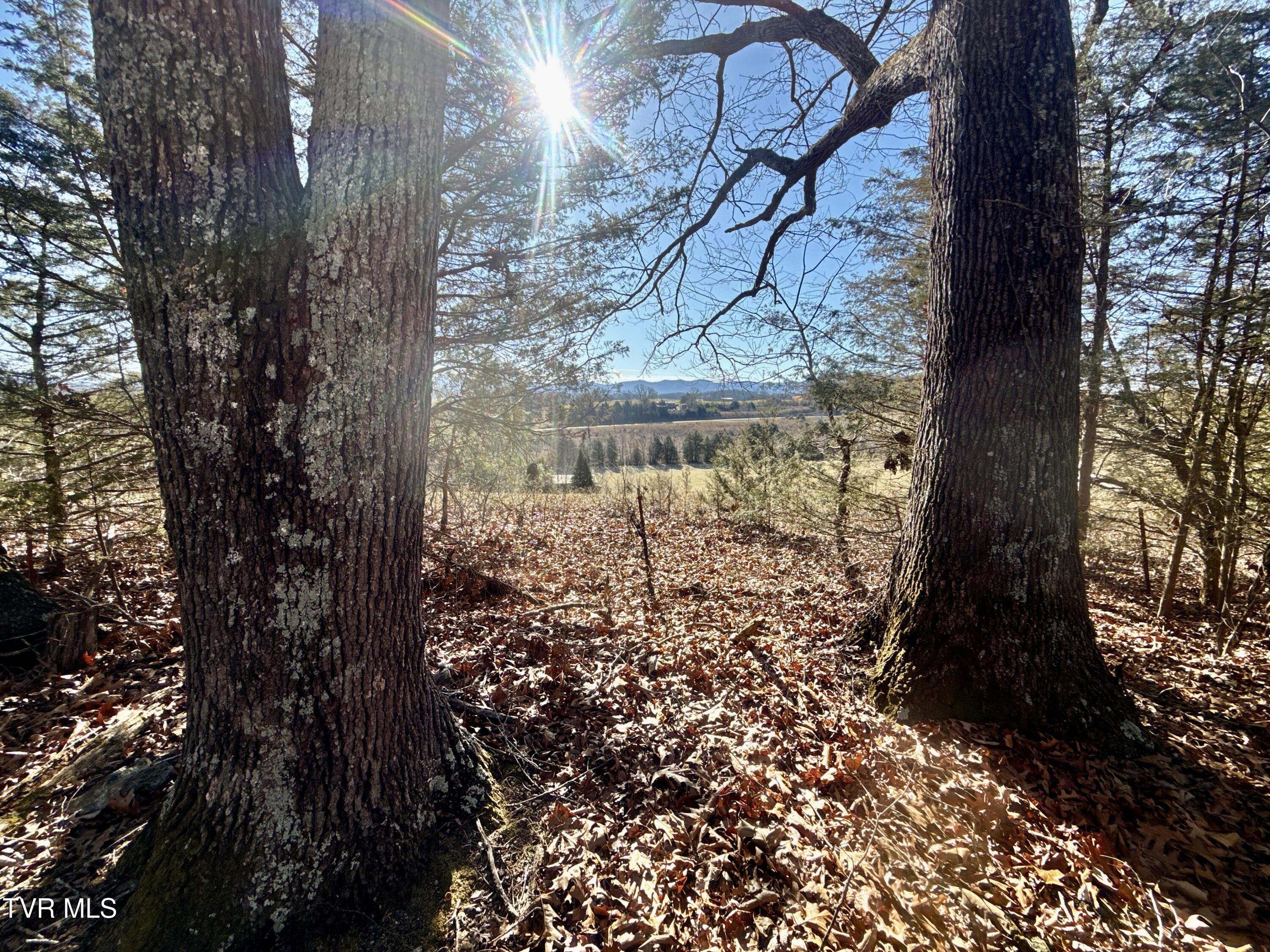 6181 Poplar Springs Road Greeneville, TN 37743 - Photo 79 of 97 082