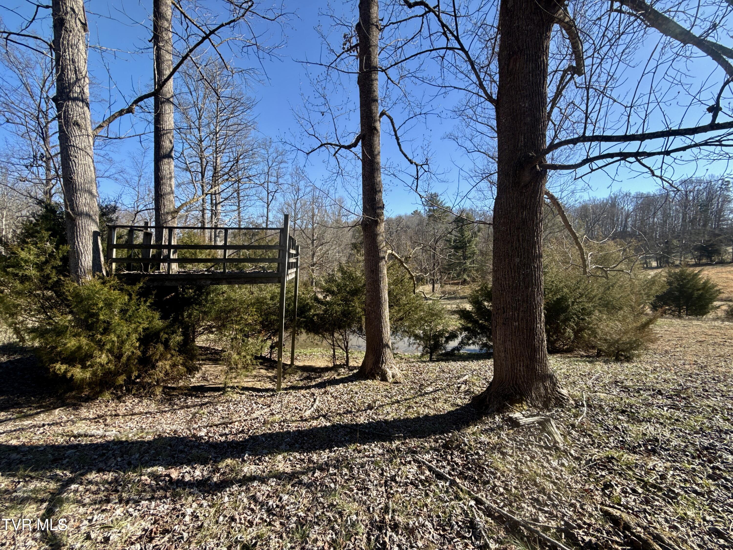 6181 Poplar Springs Road Greeneville, TN 37743 - Photo 83 of 97 086