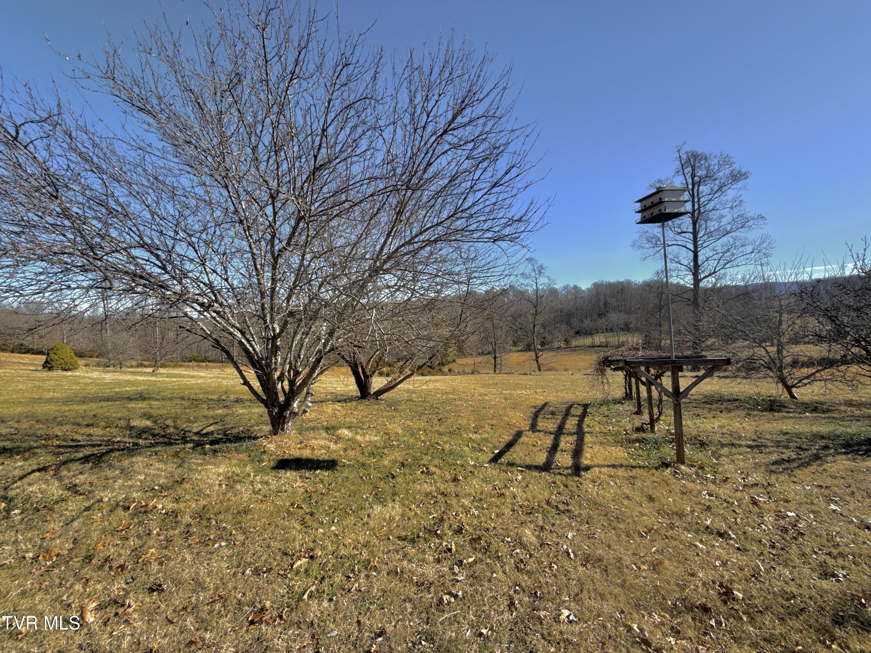 6181 Poplar Springs Road Greeneville, TN 37743 - Photo 84 of 97 087