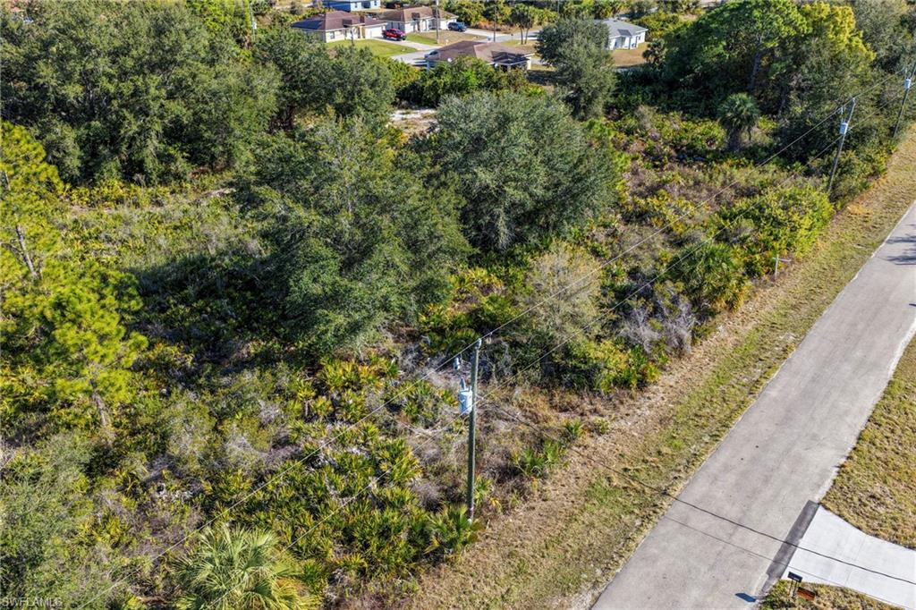 3306 50th Street West Lehigh Acres, FL 33971 - Photo 14 of 16 a view of a garden with a pathway