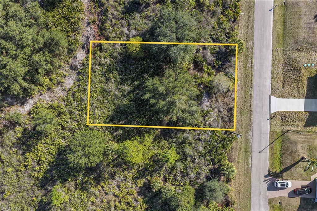 3306 50th Street West Lehigh Acres, FL 33971 - Photo 4 of 16 a view of a forest