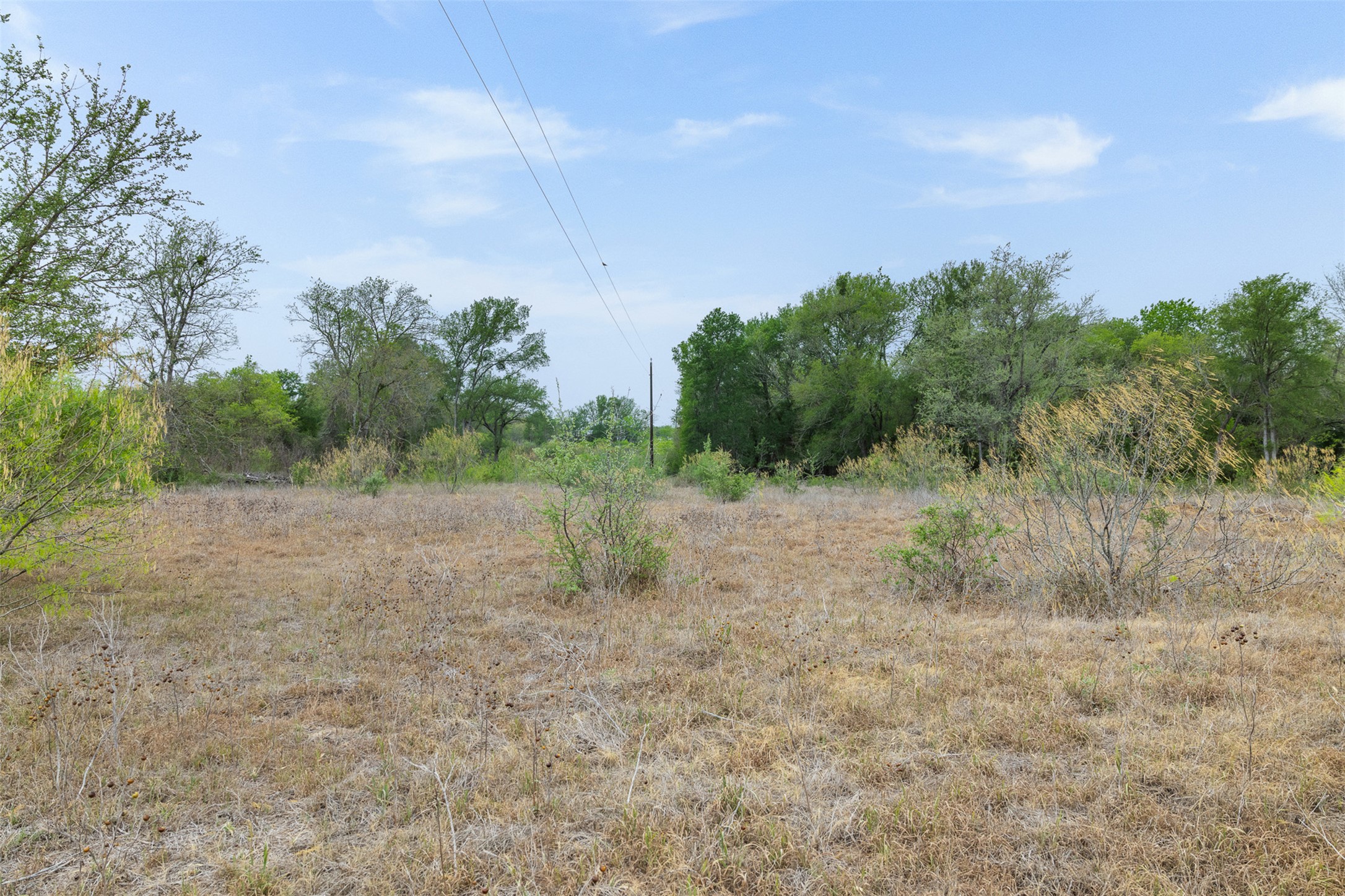 579 Lower Elgin Road Elgin, TX 78621 - Photo 18 of 40 a view of a dry yard with trees