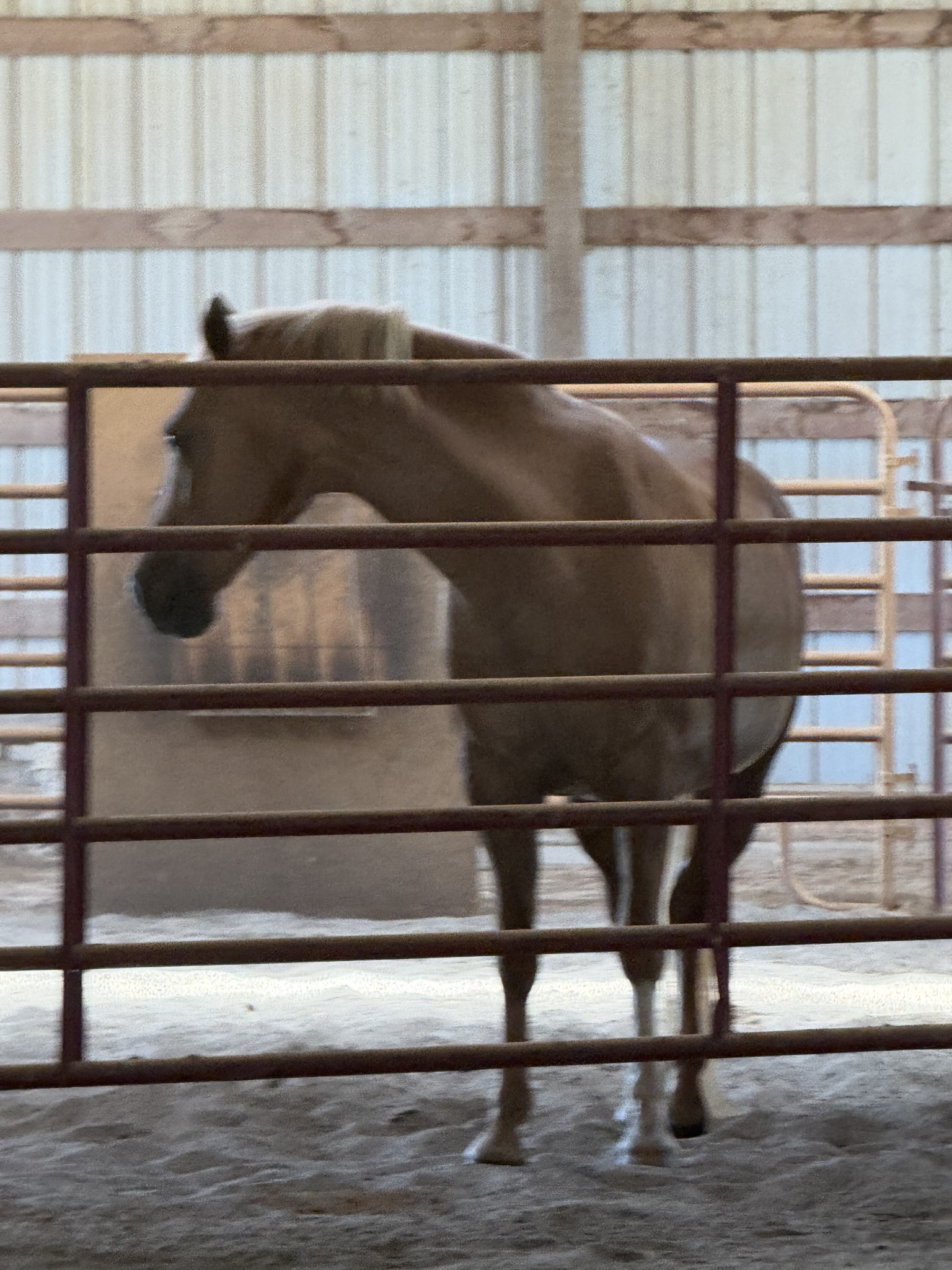 870 Oak Plains Road Clarksville, TN 37043 - Photo 92 of 100