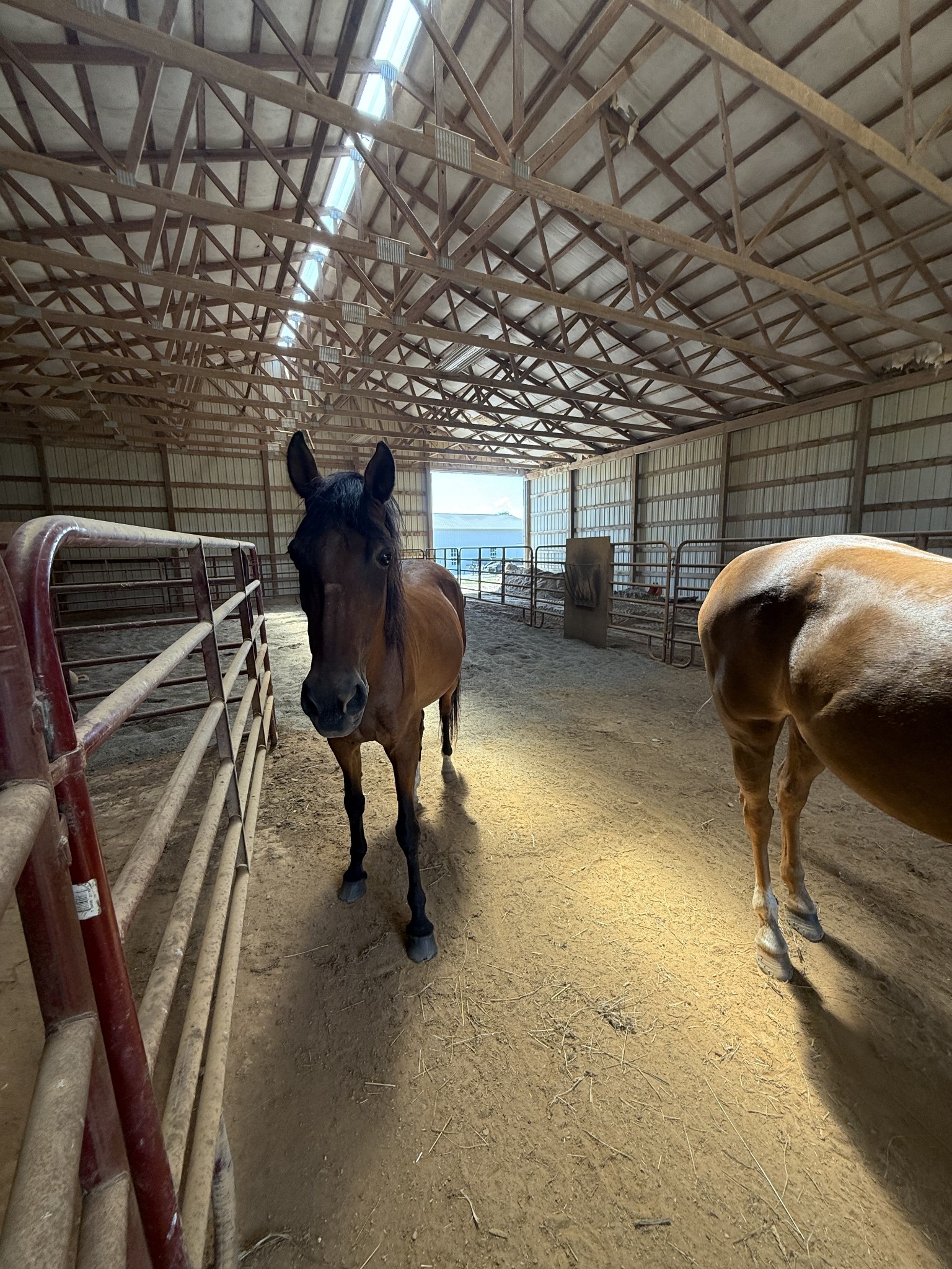 870 Oak Plains Road Clarksville, TN 37043 - Photo 94 of 100