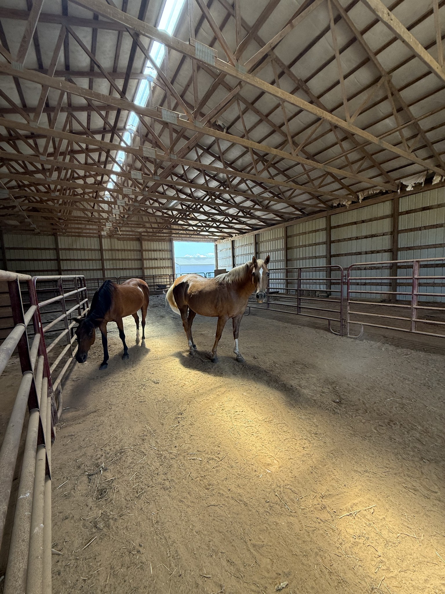 870 Oak Plains Road Clarksville, TN 37043 - Photo 95 of 100