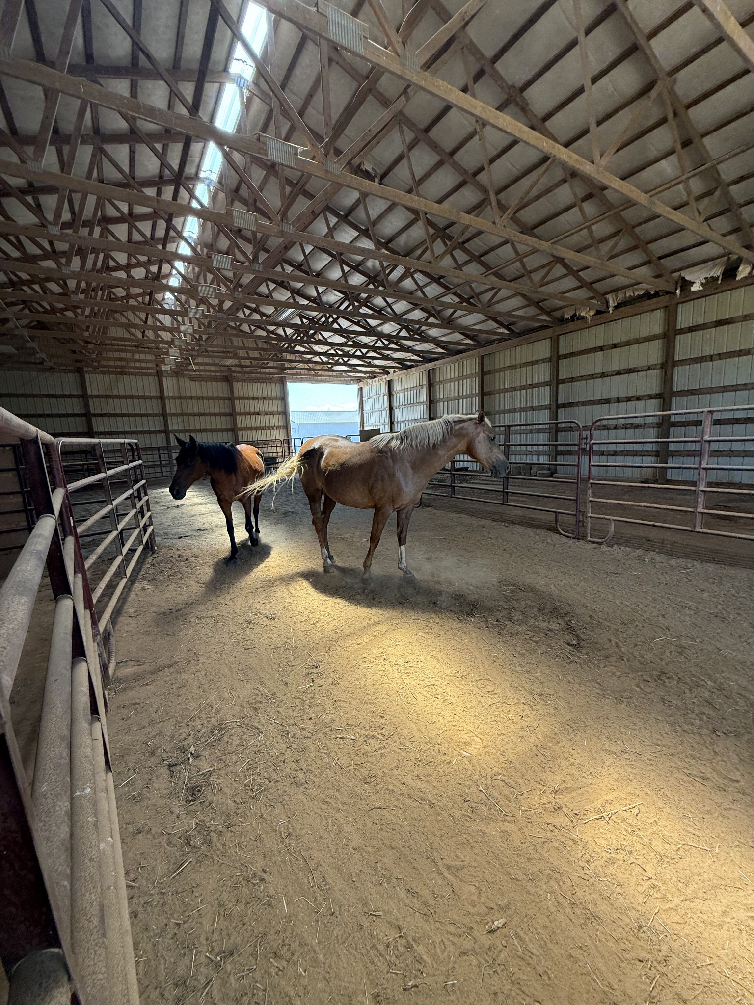 870 Oak Plains Road Clarksville, TN 37043 - Photo 96 of 100