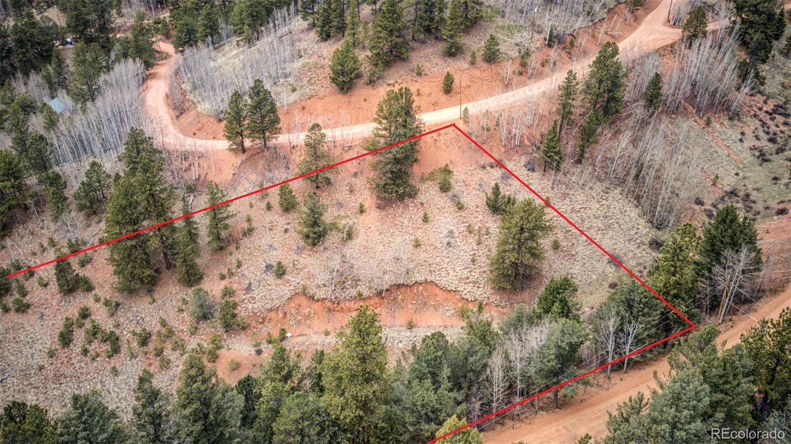 221 Valley Road Divide, CO 80814 - Photo 2 of 11 Gallery Image 2