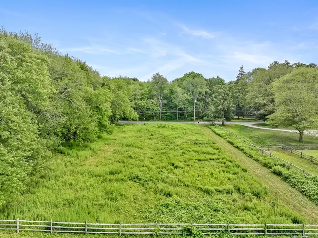 a view of a field with grass and trees
