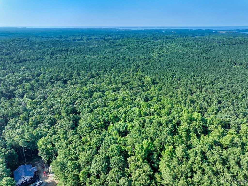 0 Black Stump Road Weems, VA 22576 - Photo 16 of 25 a view of a green field with lots of bushes