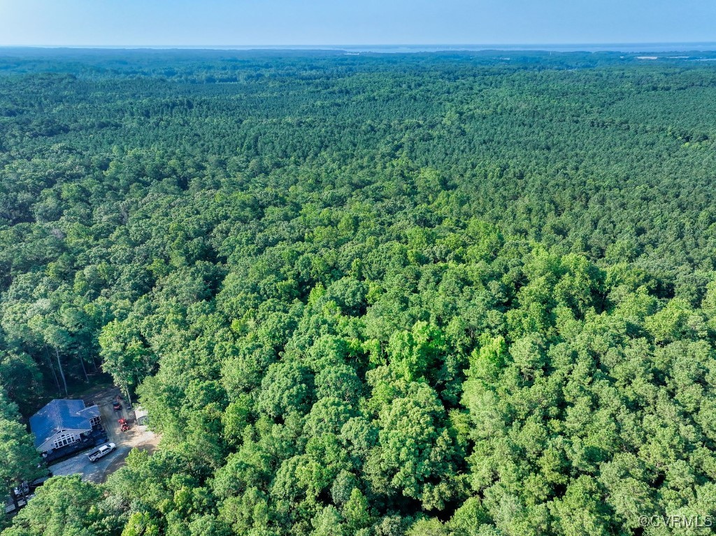 0 Black Stump Road Weems, VA 22576 - Photo 17 of 25 a view of a lush green field