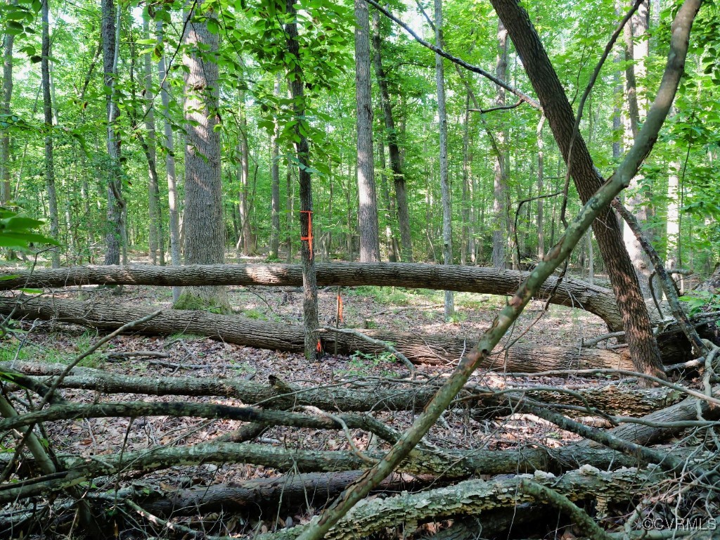 0 Black Stump Road Weems, VA 22576 - Photo 18 of 25 a backyard of a house with lots of green space