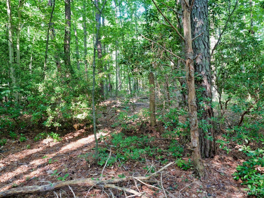 0 Black Stump Road Weems, VA 22576 - Photo 19 of 25 a view of a garden