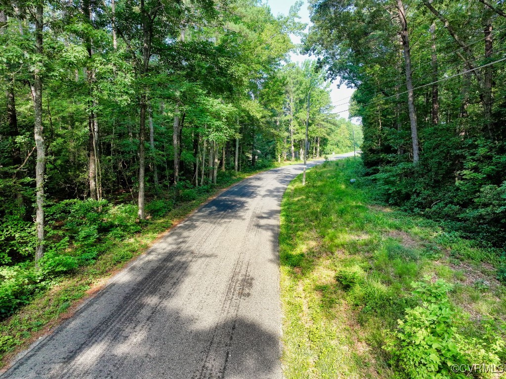 0 Black Stump Road Weems, VA 22576 - Photo 3 of 25 a view of a road with plants and large trees