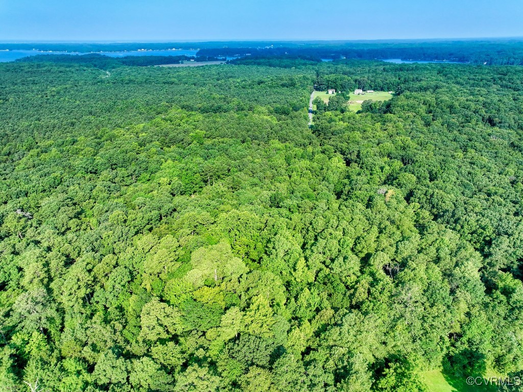 0 Black Stump Road Weems, VA 22576 - Photo 6 of 25 a view of a big yard with a garden