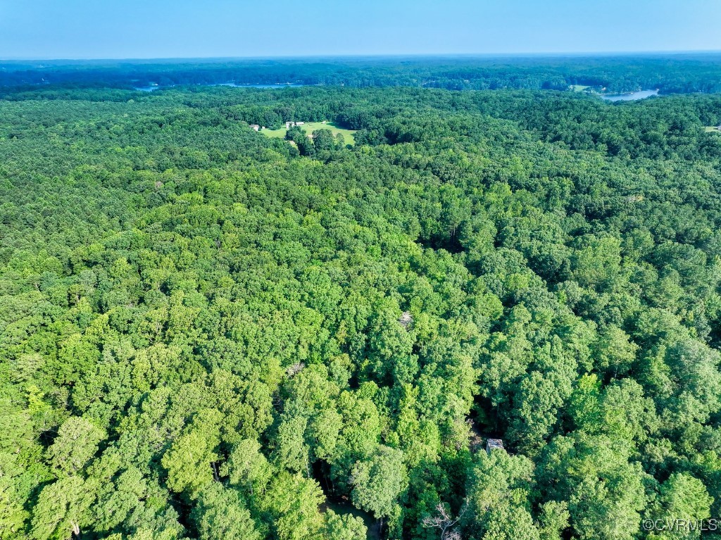 0 Black Stump Road Weems, VA 22576 - Photo 7 of 25 a view of a lush green space