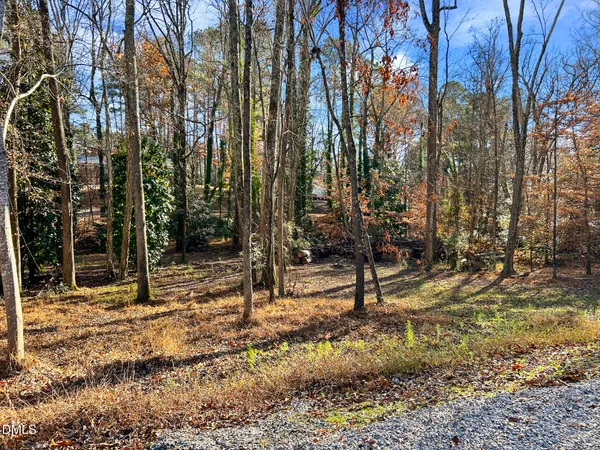 a view of outdoor space with lots of trees