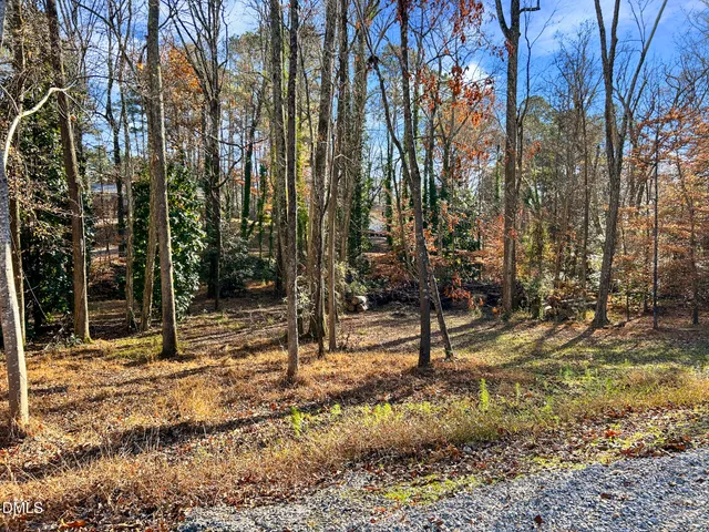 a view of outdoor space with lots of trees