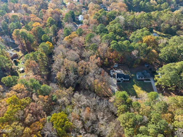 a picture of flowers