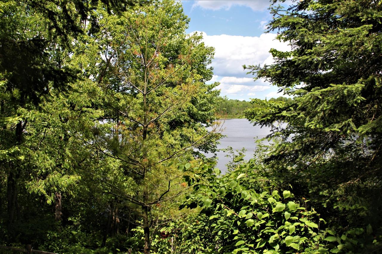 1840 Clear Lake Road Mercer, WI 54547 - Photo 24 of 25 Gallery Image 24