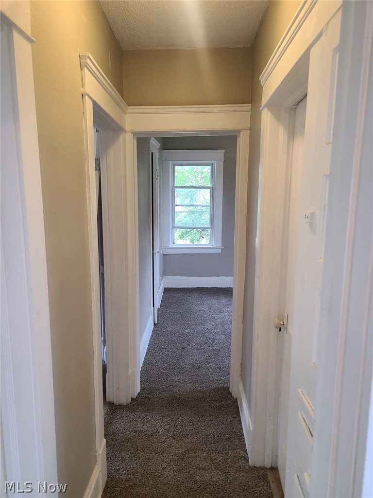 1830 Mannering Road Cleveland, OH 44112 - Photo 17 of 24 Corridor featuring dark colored carpet and a textured ceiling