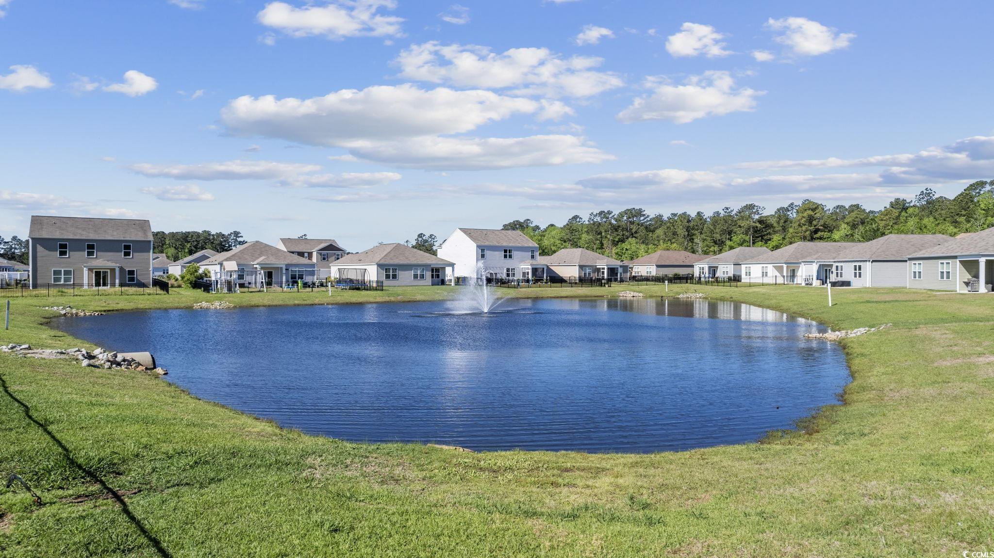 575 Affinity Drive Myrtle Beach, SC 29588 - Photo 32 of 39