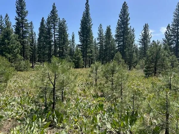 $39,000 | 157 Arrowleaf Road, Portola, CA 96122