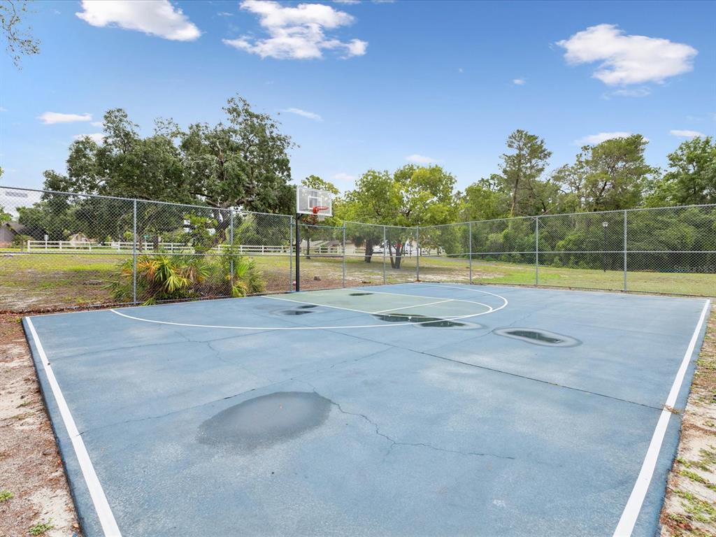 8393 Delaware Drive Weeki Wachee, FL 34607 - Photo 56 of 65